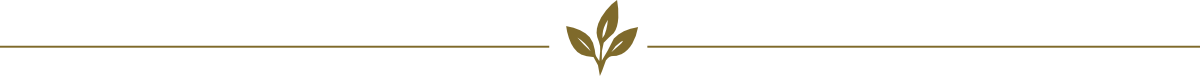 epm_trernnlinie_braun